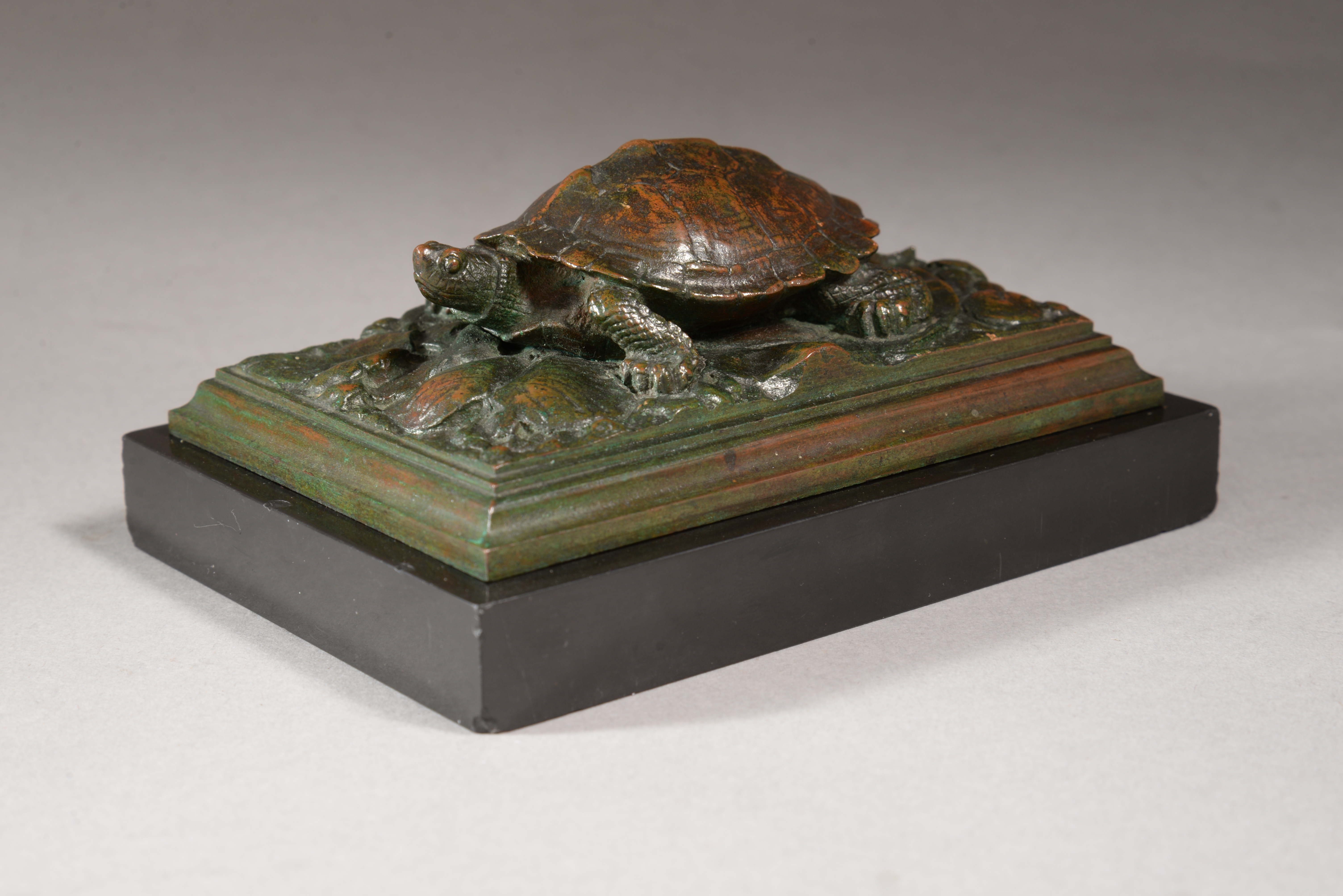 TORTUE SUR PLINTHE CARRÉE (large model)